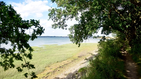Wrabness nature reserve