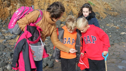 fossil walton backpack