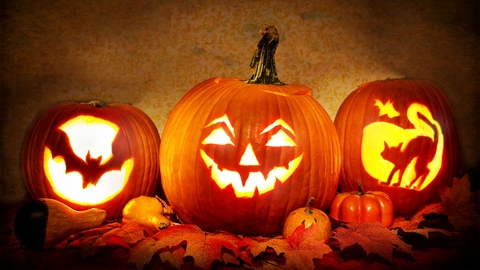 Fingringhoe Pumpkin Carving Events