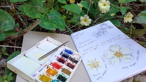 Nature Journal Event