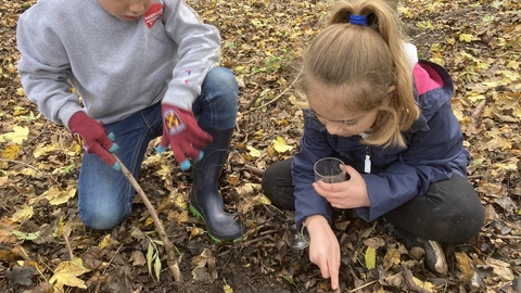 Ingrebourne Bug Hunting