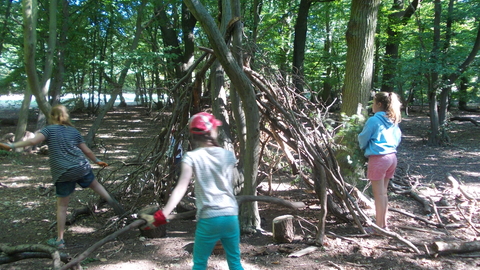 Thorndon Dens and Bushcraft