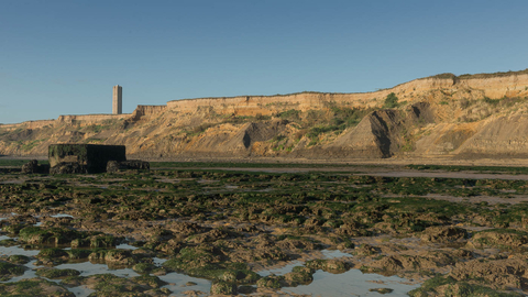 Naze Geology and Fossils