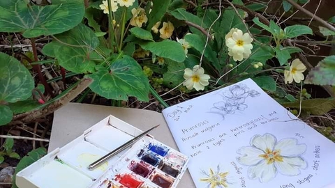 Abberton Artists in the Wild
