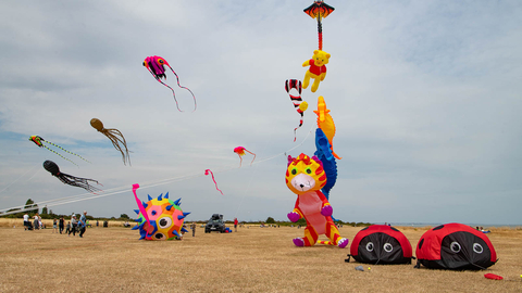 Kites at The Naze