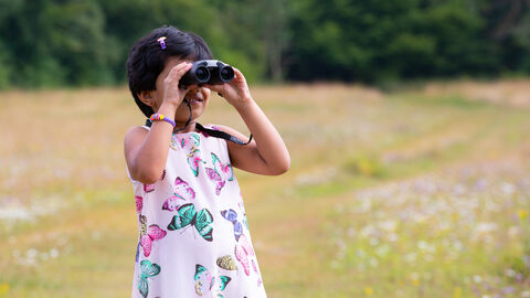 Wildlife Explorers
