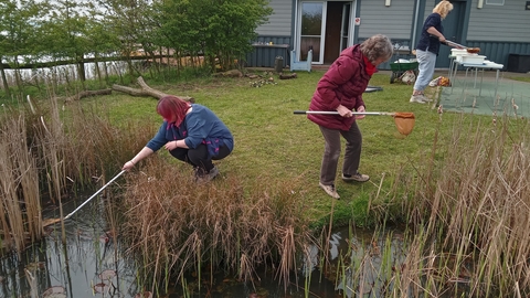 Adult Pond Dipping