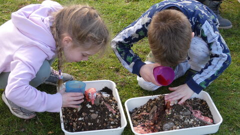 Ingrebourne Wilder Holiday Club