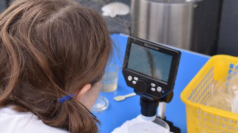 Abberton staff family fun day