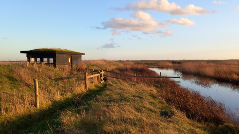 Hide at Tollesbury wick nature reserve