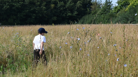 Forest school