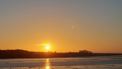 sunrise SFI