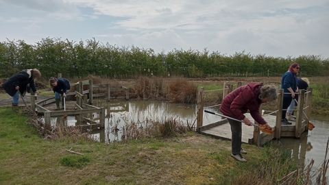 Abberton