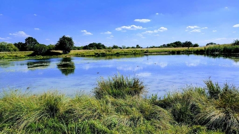 Bedfords park