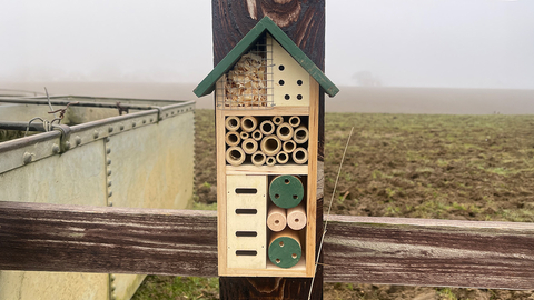 Bug hotel hanging on a fence