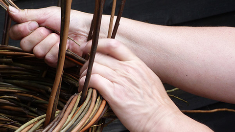 Photo of hands weaving willow