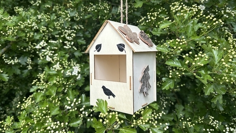 Bird Box