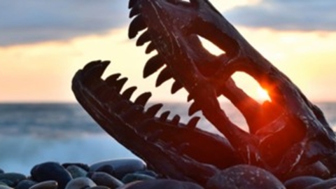 dino skeleton at sunset