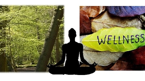 wellness