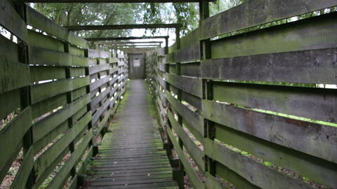 Path to the bird hide at Hanningfield Reservoir Nature Discovery Park