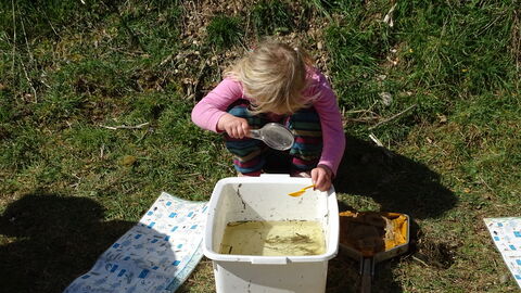 Pond dipping