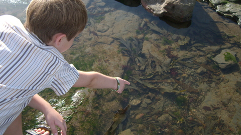 seashore science lab