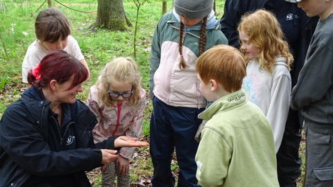 Forest school