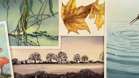 Viv autumn