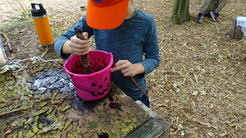 blackberry tyedye