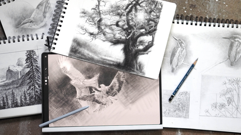 sketches of nature