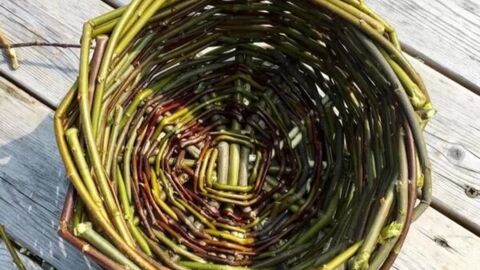 Basket weaving