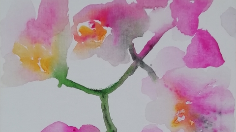 Pink flowers