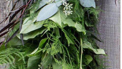 Green Foliage in a long Christmas Garland.