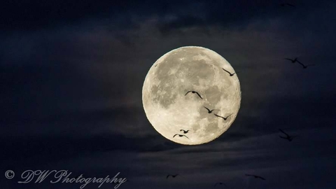 Super moon