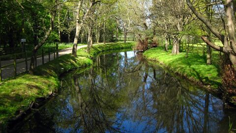 Colchester Local Group Summer Walk and Picnic