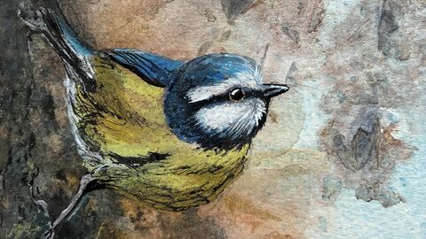 viv - 1st signs of spring