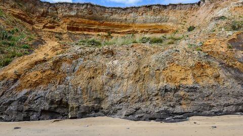 The Naze cliffs