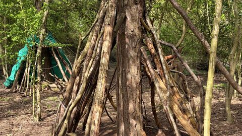 A Den built at Fingringhoe