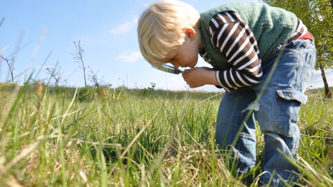 Boy looking through magnifying glass in meadow