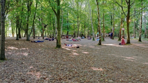Forest Bathing