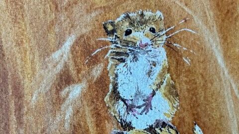 Watercolour painting 