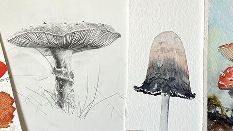 Watercolour painting 
