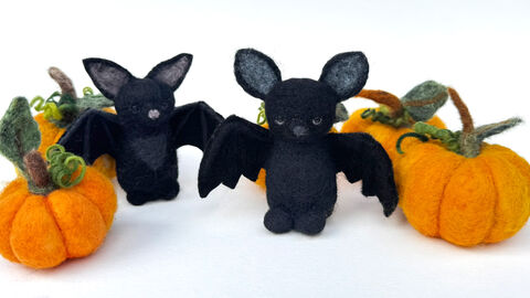 Pumpkin and bats