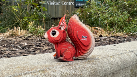 eugy squirrel