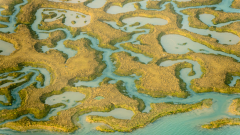 Saltmarsh from the sky - Abbotts Hall - Terry Whittaker