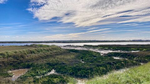Photo of blue sky and clouds showing salt marsh to estuary 