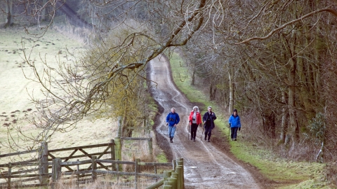 winter walk