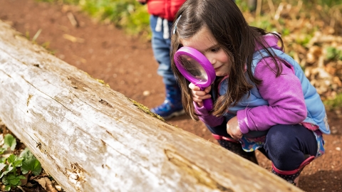 nature tots girl 2