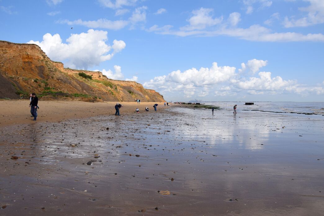 Walton-on-the-Naze beach below the cliffs
