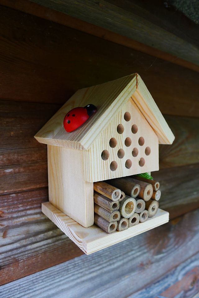 Build a bug or bee hotel | Essex Wildlife Trust